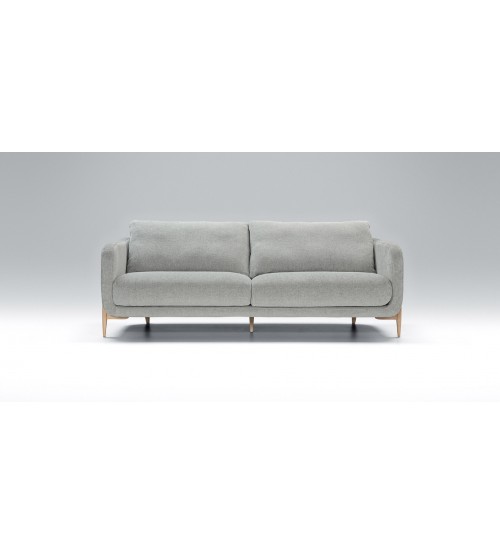 Modern Sofa H710