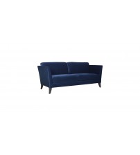 Modern Sofa H711